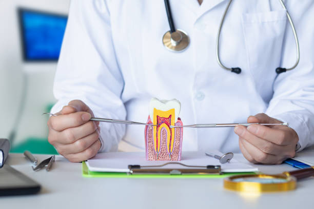 Best Broken or Chipped Tooth Repair in Neptune Beach, FL